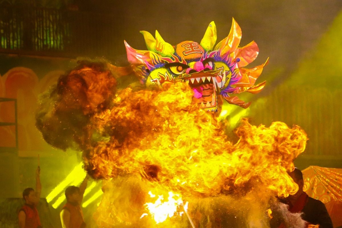 Lion dance performance at a community event